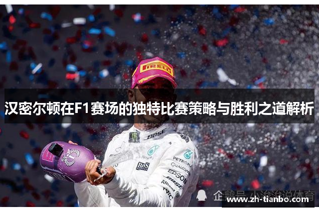 汉密尔顿在F1赛场的独特比赛策略与胜利之道解析