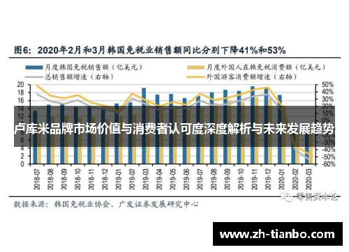 卢库米品牌市场价值与消费者认可度深度解析与未来发展趋势