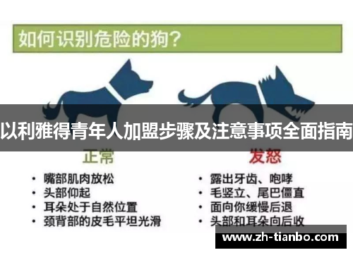 以利雅得青年人加盟步骤及注意事项全面指南