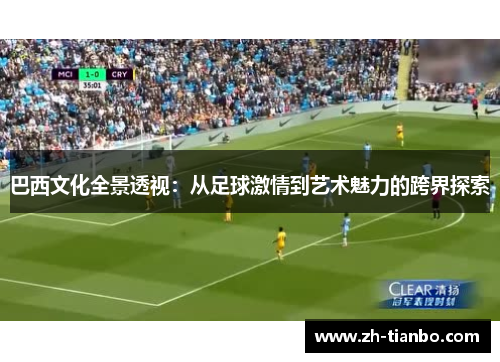 巴西文化全景透视：从足球激情到艺术魅力的跨界探索
