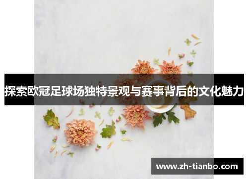 探索欧冠足球场独特景观与赛事背后的文化魅力 探索欧冠足球场独特景观与赛事背后的文化魅力
