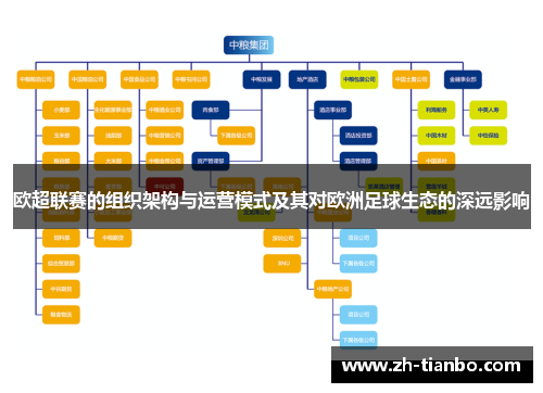 欧超联赛的组织架构与运营模式及其对欧洲足球生态的深远影响 欧超联赛的组织架构与运营模式及其对欧洲足球生态的深远影响