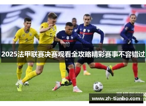 2025法甲联赛决赛观看全攻略精彩赛事不容错过 2025法甲联赛决赛观看全攻略精彩赛事不容错过